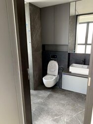 Irwell Hill Residences (D9), Apartment #456704181